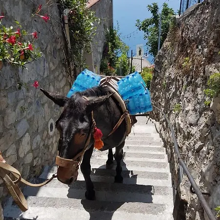 Holiday home Estate4home - Goat Path