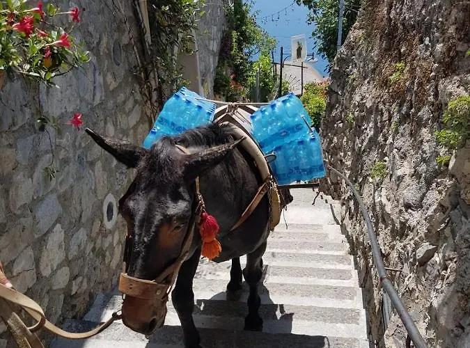 Casa vacanze Estate4home - Goat Path