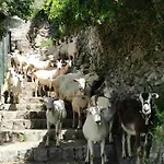 Prázdninový dům Estate4home - Goat Path Positano