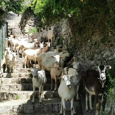 Prázdninový dům Estate4home - Goat Path Positano